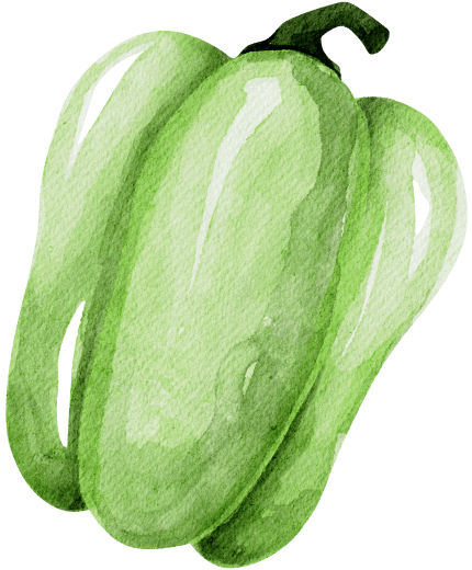 organic-farming-illustrations-04